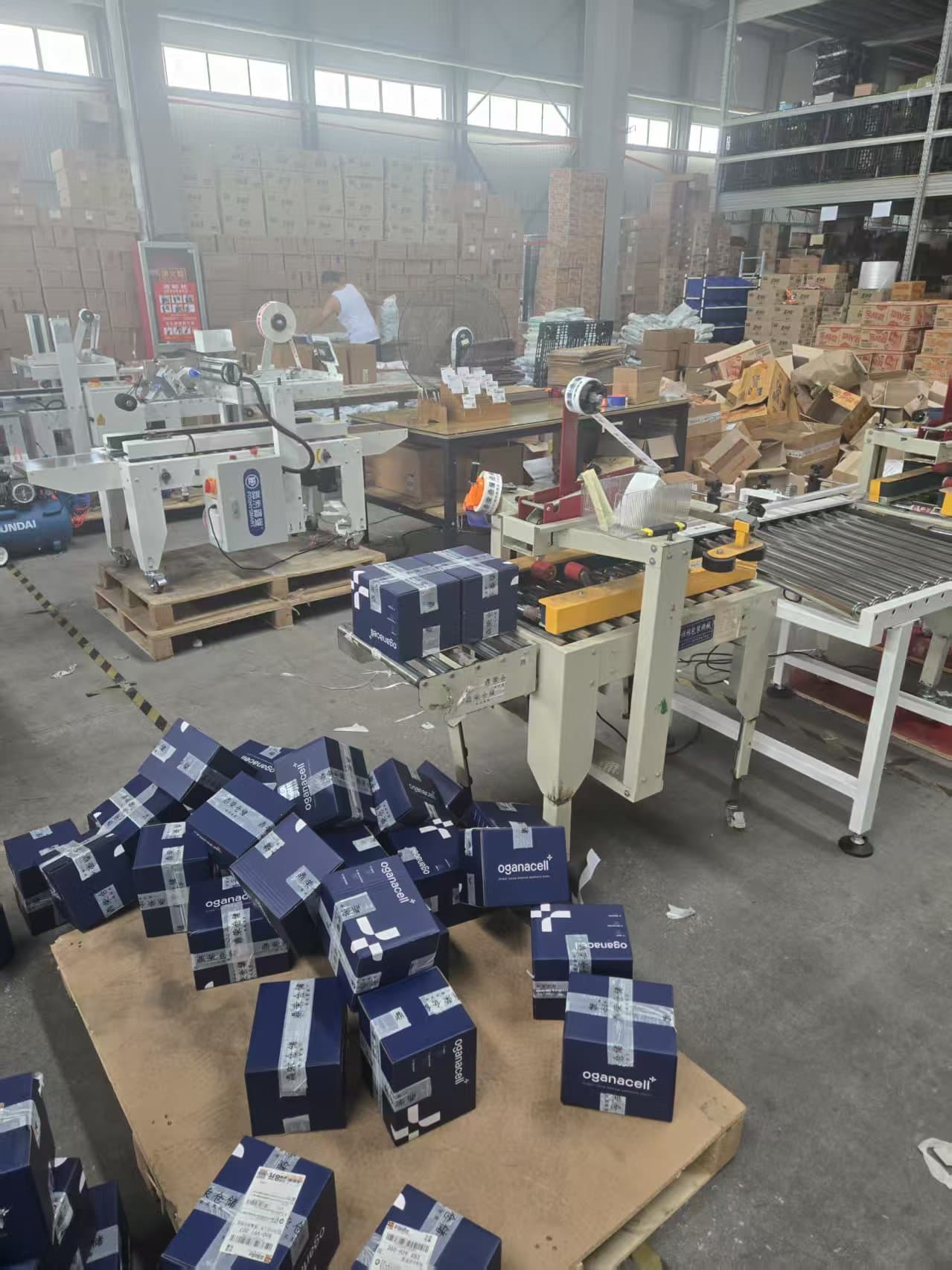 포장 생산 라인